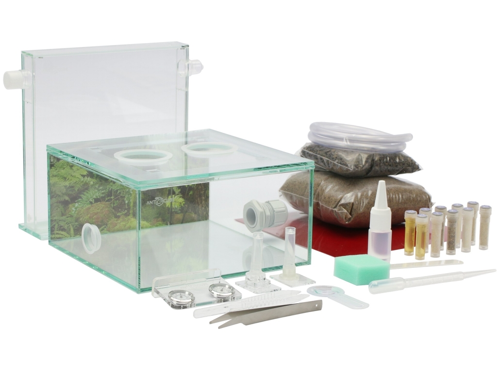 ANTCUBE Starter Set L - 20x20 - Regenwald